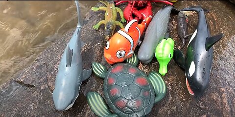 Sea Animal Toys This Summer at the Shore