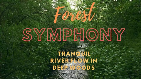 🌳Forest Symphony: Tranquil River Flow in Deep Woods. Ambient forest sounds video.