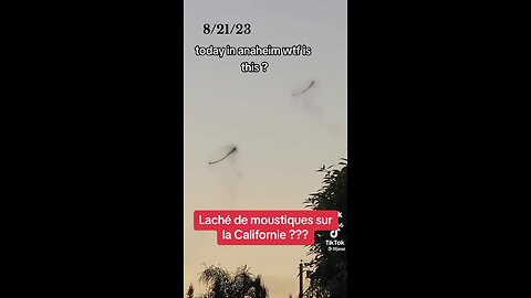 Anillos de mosquitos es captados en el Sur de California (2024)