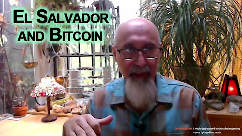 El Salvador and Bitcoin: A Model to Rollout Non-fungible Centrally Controlled Digital Currencies