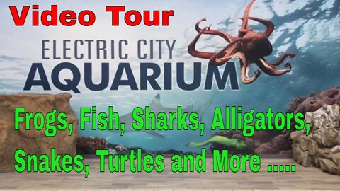 Tour of Electric City Aquarium and Reptile Den in Scranton, Pa