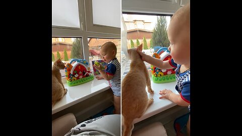 Baby hits his cat because it is looking at him while playing.