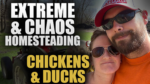 Extreme & Chaos Homesteading: Chickens & Ducks | Shane & Sarah Lohre