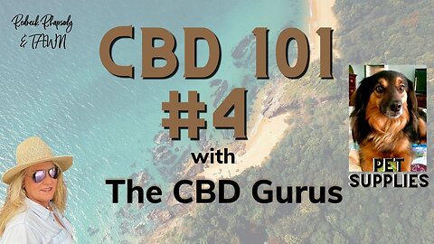 What Does CBD Have To Offer Your Pets? CBD 101 #4