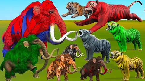 10 Zombie Mammoths Vs 5 Zombie Tigers Animal Fight Mammoth Elephant Save Cowcartoon from Giant Tiger