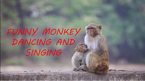 FUNNY MONKEY DANCING IN THE JUNGLE