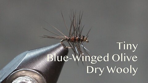 Tiny Blue-Winged Olive Dry Wooly