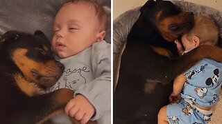 Baby And Puppy Are The Cutest Duo Ever!