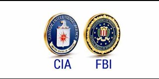 Why are the FBI and CIA Worse for Democracy than the Jan 6 MAGA Rioters?