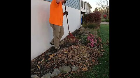 Easy Fall Cleanup #shorts #lawncare #leaves #fall #hustle