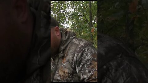 Deer taken with a longbow. Sweet slo-mo!