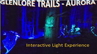 Exploring an Illuminated Forest with Interactive light shows