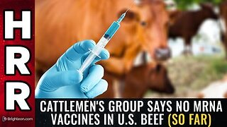 Cattlemen's Group Says NO mRNA VACCINES in U.S. Beef (So Far)