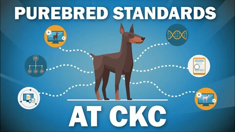 What is CKC's Approach to Breed Standards for Dogs?