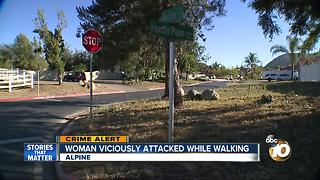 Woman viciously attacked while walking