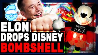 Disney REVEALS Wildly Anti-White Hiring Rules & Elon Musk POUNCES To Share! Massive Story!