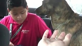 Sweet Dog Cries Every Time Mom Drops Son Off At School