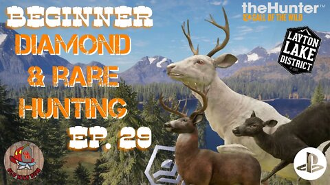 Beginner Diamond & Rare Hunting Ep 29 theHunter Call of the Wild