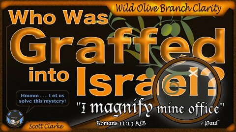 Who Were The Wild Olive Branches Graffed Into Israel?