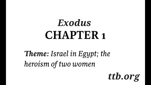 Exodus Chapter 1 (Bible Study)