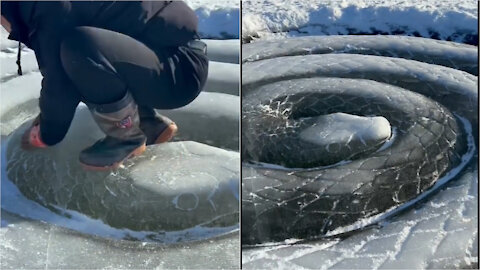 Beautiful anaconda made of ice