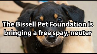 The Bissell Pet Foundation is bringing a free spay, neuter