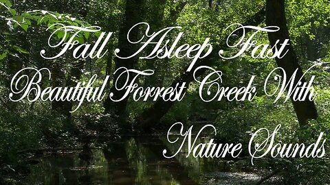 Fall Asleep FAST | Beautiful Forrest Creek | Nature Sounds | 528Hz Solfeggio Frequency