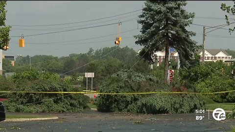 Morning storms knock down trees, power lines in Novi