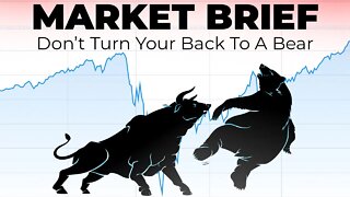 THE STOCK MARKET ONLY GOES UP (Until it doesn't) | Technical Analysis Of The Financial Markets