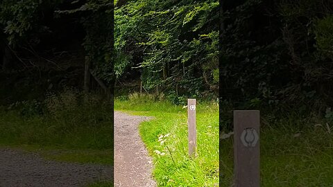 Follow the Thistle post markers on The West Highland Way Scotland #westhighlandway