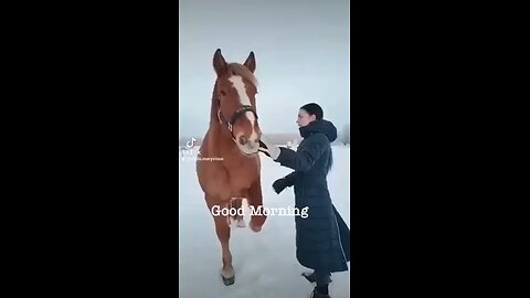 The Best Horse Ride