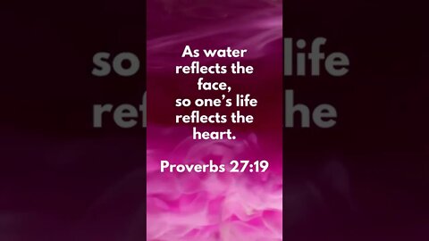OUR HEARTS, REVEALED! | MEMORIZE HIS VERSES TODAY | Proverbs 27:19