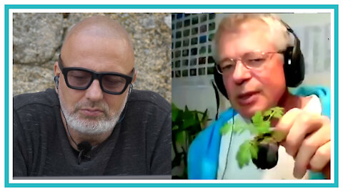 Artemisia - Die Wunderpflanze - Im Gespräch mit Dr. Hans-Martin Hirt