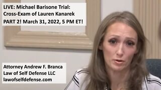PART 2! Michael Barisone Trial: Cross-Exam of Lauren Kanarek