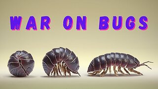 War on Bugs!