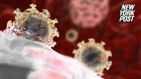 Scientists have discovered a new, more virulent strain of HIV which progresses faster to AIDS