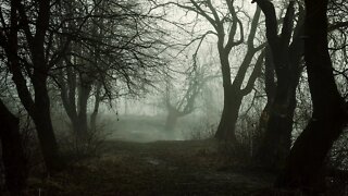 Spooky Magical Forest Music – Haunted Foggy Forest