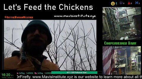 Let's Feed the Chickens : EP 29: Blood Types and Homo sapiens spp