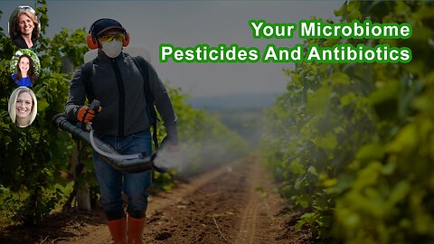 We've Destroyed The Microbiome Through All Of These Pesticides And Antibiotics
