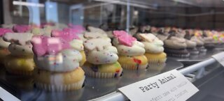 Vegas Like a Local: tsp baking company