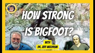 Bigfoot Questions with Jeff Meldrum - How Strong is Bigfoot? | Clips