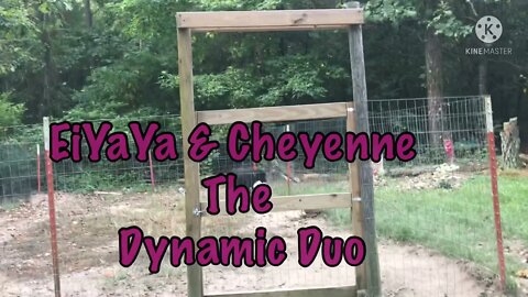 EiYaYa and Cheyenne