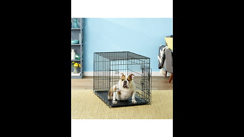 Review Ellie-Bo Dog Puppy Cage Folding 2 Door Crate with Non-Chew Metal Tray Medium 30-inch