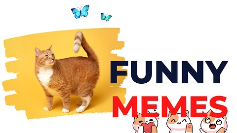 Funny Animal Memes That Will Make You Laugh! Try Not To Laugh Challenge! Video Compilation!🤣