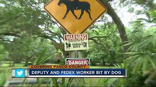 Video shows dog attack Pasco deputy in Dade City