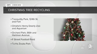 Recycle Christmas Trees