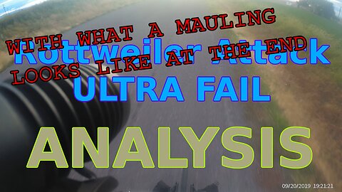 Rottweiler attack ultra fail ANALYSIS with text AND IMAGE OF WHAT HAPPENS WHEN IT MAULS YOU