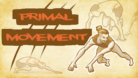 Animal Flow and Primal Movement
