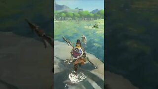 Spear Combat In Legend of Zelda Breath of The Wild #shorts