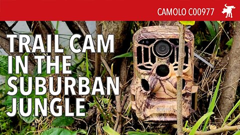 Camolo 4K Trail Camera